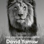 Achetez mon livre : David Yarrow, une vision de la photographie